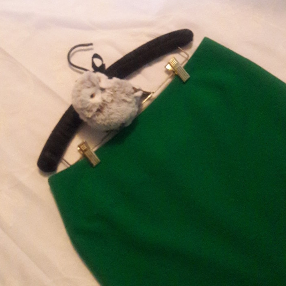 Ellen Tracy green skirt